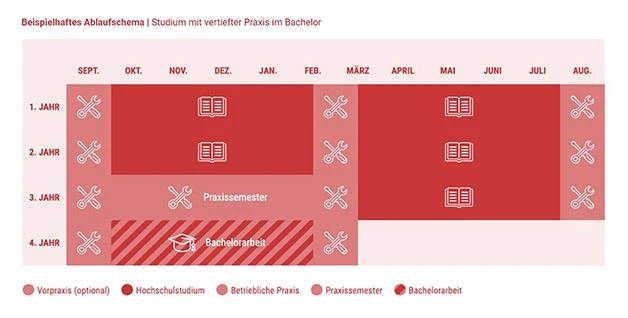 Ablauf Duales Studium Bachelor of Science