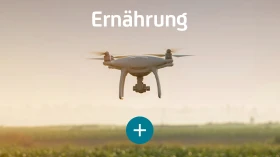 Ernährung