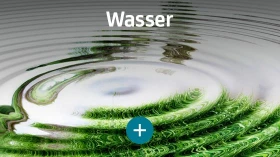 Wasser