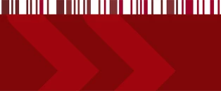 Fünf Personen spielen im Freien sehr konzentriert gemeinsam Geige. 