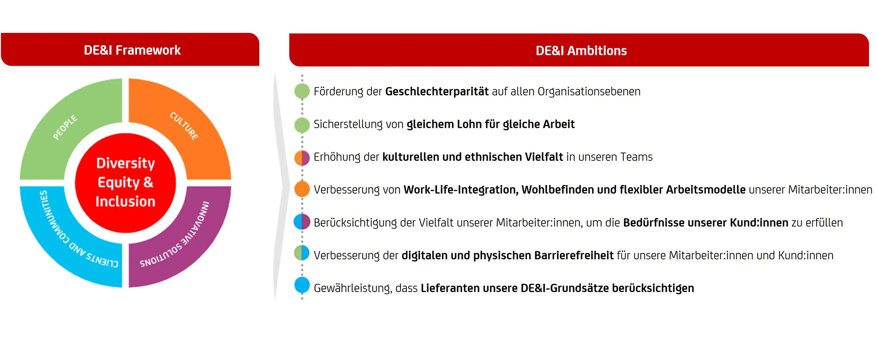 DE&I Framework