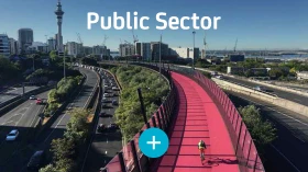 Public Sector